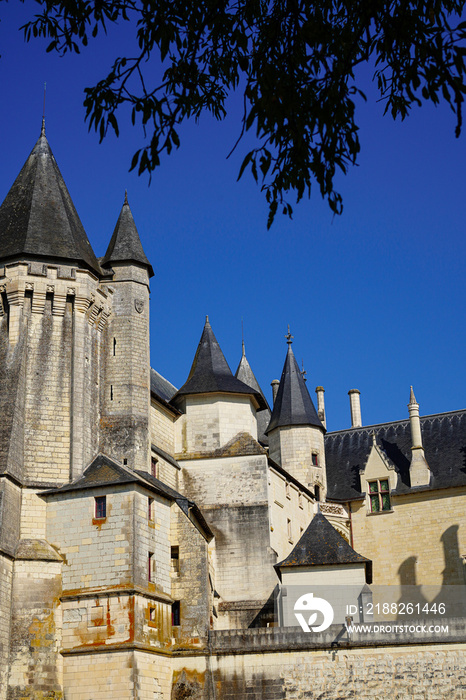 Beautiful view of the Château de Saumur, Loire valley in France