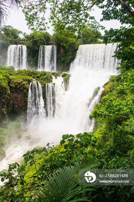 Waterfalls and jungle - a view from the Lower Circuit at the Iguazu National Park (Puerto Iguazu, Argentina)