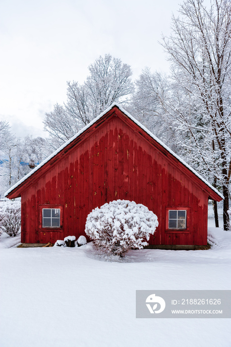 Red barn during winter with snow, Stowe, Vermont, USA