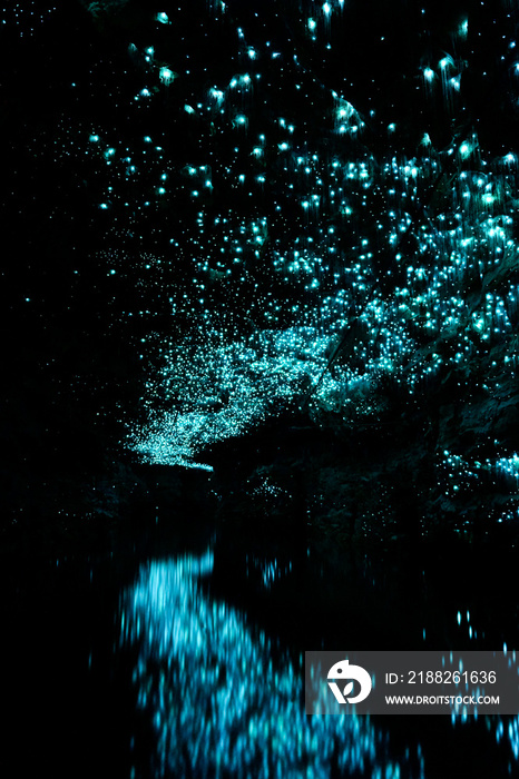 Glowworm Cave in Waitamo New Zealand. Cave filled with water, glowworms hanging from ceiling.