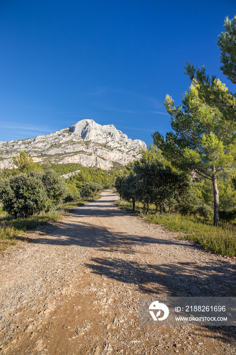 Forest trail and view of the Montagne Sainte-Victoire in Provence, a limestone mountain ridge in the south of France