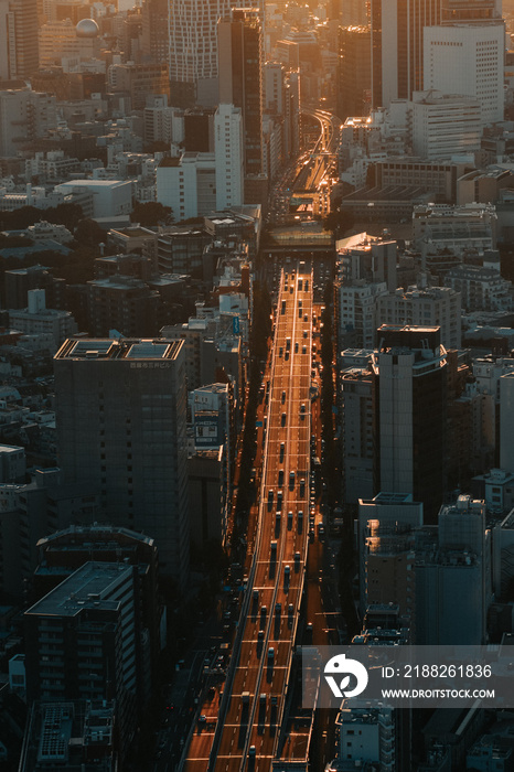 Ariel view of Tokyo cityscape in sunset