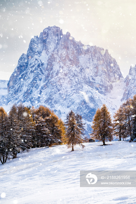 Beautiful Winter at Alpe di Siusi, Seiser Alm - Italy - Holiday background for Christmas.