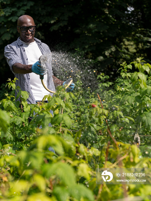 Smiling mature man watering plants in garden