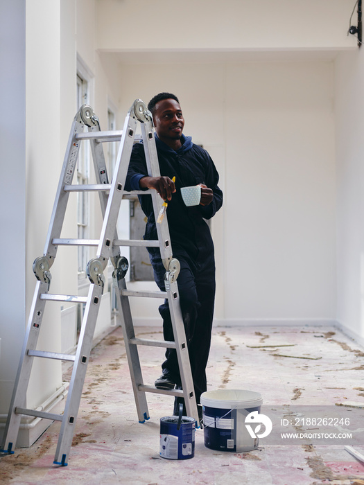 Man with ladder in loft apartment