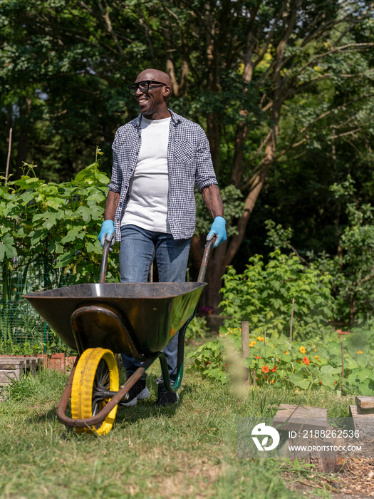 Smiling mature man gardening in allotment