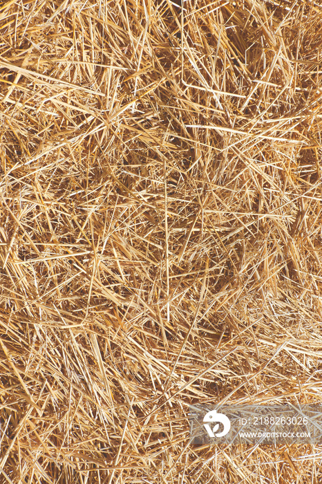 Vertical pattern of mown hay. Autumnal, seasonal background, backdrop. Livestock feed, flooring