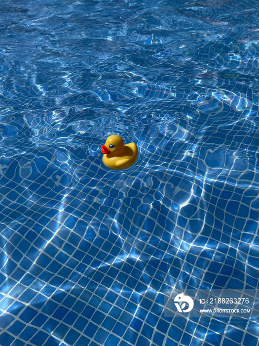 Yellow rubber duck floating in the water of a swimming pool with reflections of the sun on a hot day.