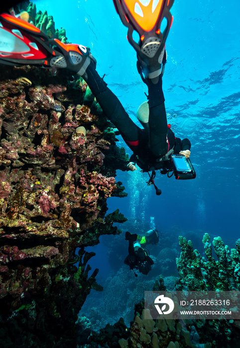 Woman diver in the water, dive site in Dahab, South Sinai, Egypt