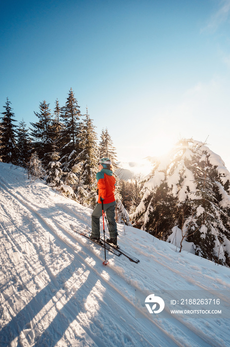 Mountaineer backcountry ski walking ski alpinist in the mountains. Ski touring in alpine landscape with snowy trees. Adventure winter sport. High tatras, slovakia landscape