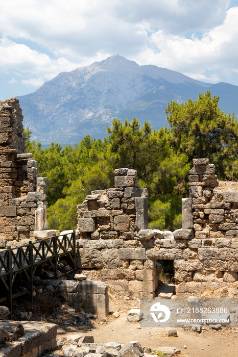 Historical ruins in the forest, Phaselis ancient city, Antalya