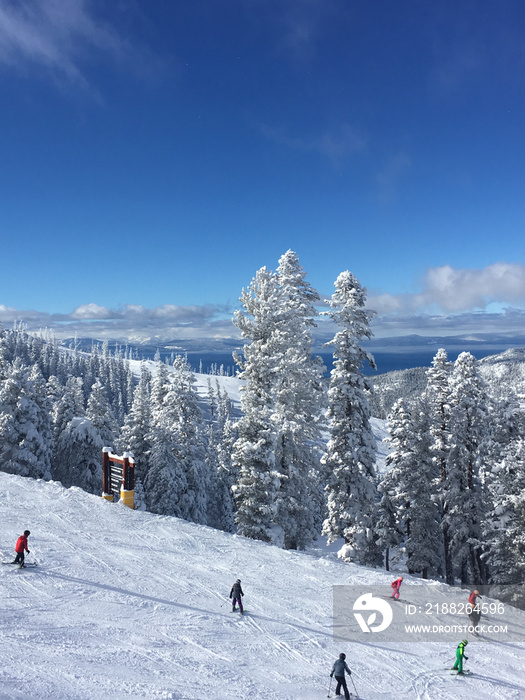 Vertical view of skiers on a ski slope at a resort in winter on a sunny day with blue skies, ,with Lake Tahoe in the background