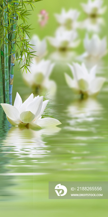 composition aquatique zen avec lotus et bambou