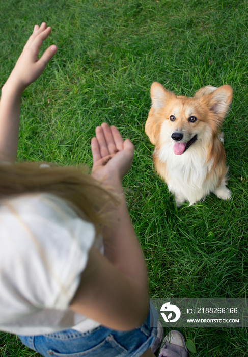 little girl training a dog