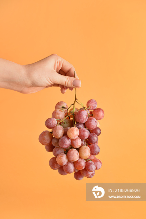 Female hand with fresh grapes on color background