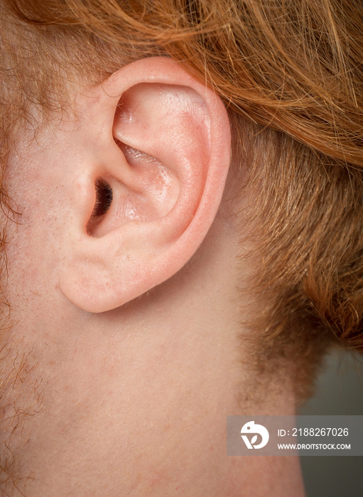 close-up macro shot of human ear