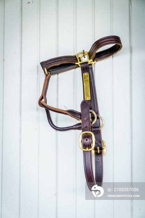 Horse bridle