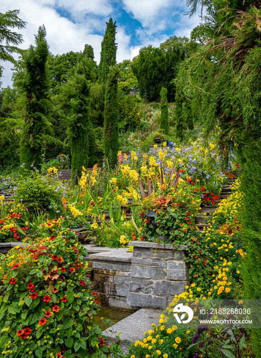 Blumen uns Pflanzen auf der Bodenseeinsel Mainau