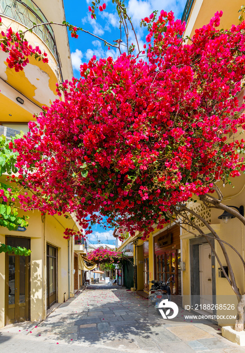 Beautiful street view in Kos Island. Kos Island is a popular tourist destination in Greece.