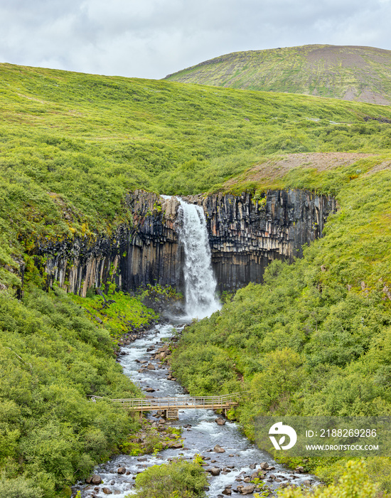 Way to Waterfall Svartifoss at Vatnajökull National Park in Iceland