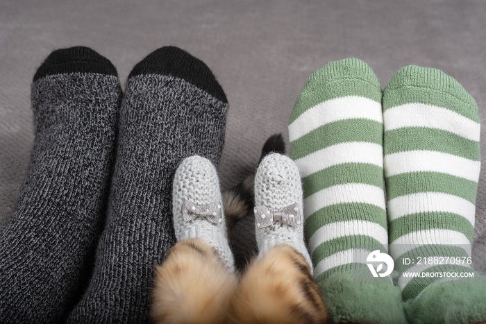 Close up of the legs of a family with a cat and colored socks on the bed.