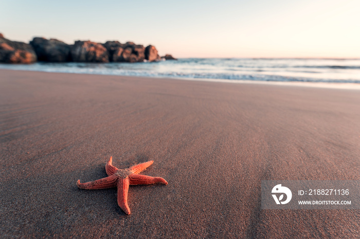 starfish in the sand on the beach with rocks and sea at sunset in the background