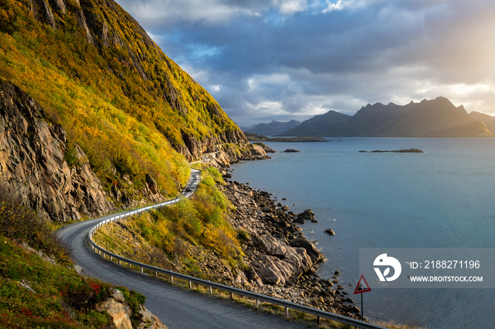 Idyllic coastline road leading through the beautiful nature of Lofoten, Norway, Europe.