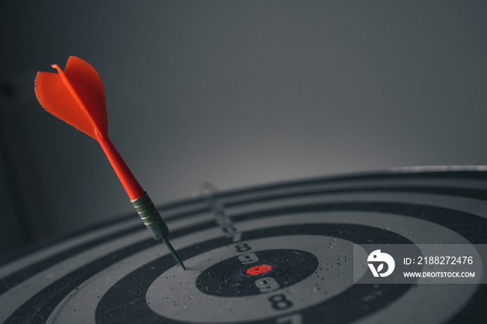 Bullseye is a target of business. Dart is an opportunity and Dartboard is the target and goal. So both of that represent a challenge in business marketing as concept.