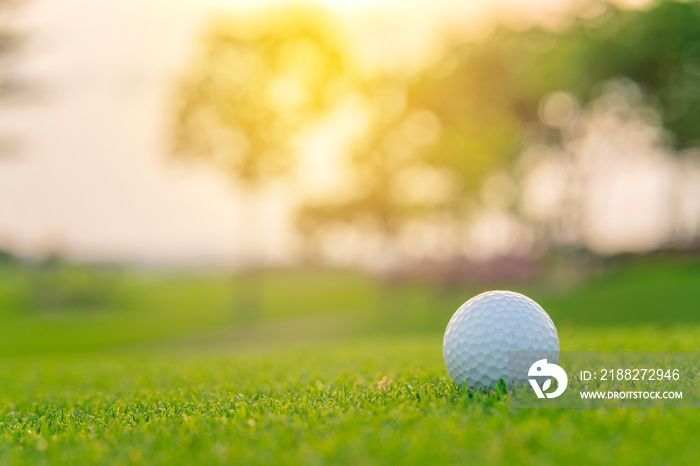 Golf ball on green grass ready to be shot at golf court