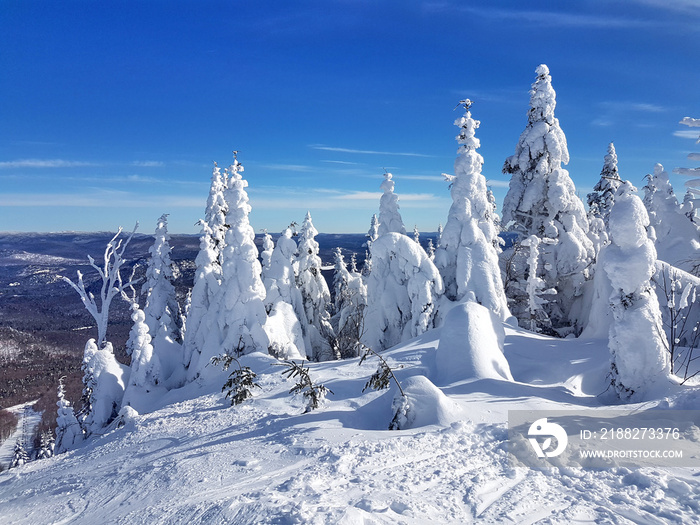 Scenic view of a ski resort Mont-Tremblant