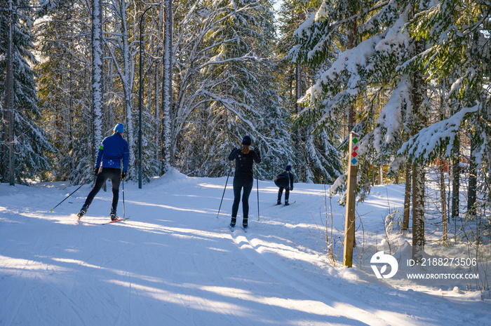 Swedish family doing wintersports cross country ski following the track through the woods during the winter with sunbeam