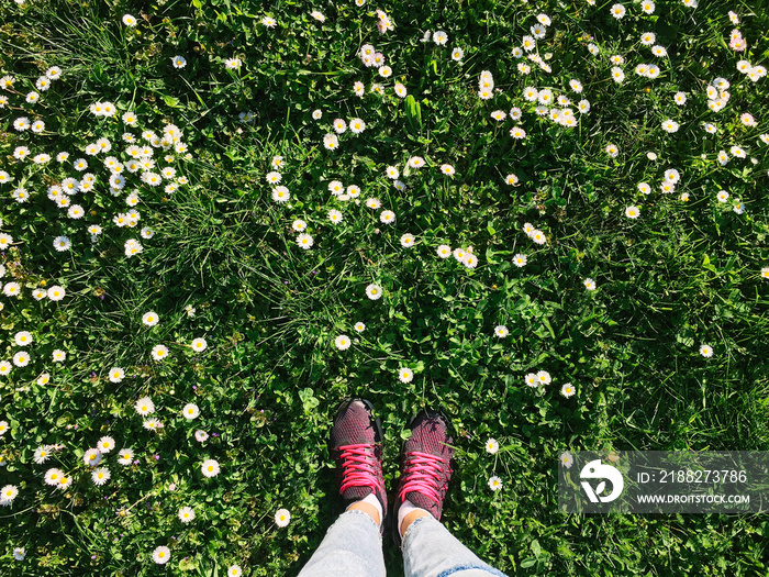 Woman Sport Shoes In Spring Grass With Daisies