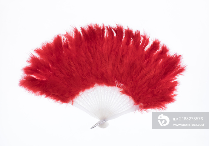 female fan with red feathers isolated on white background