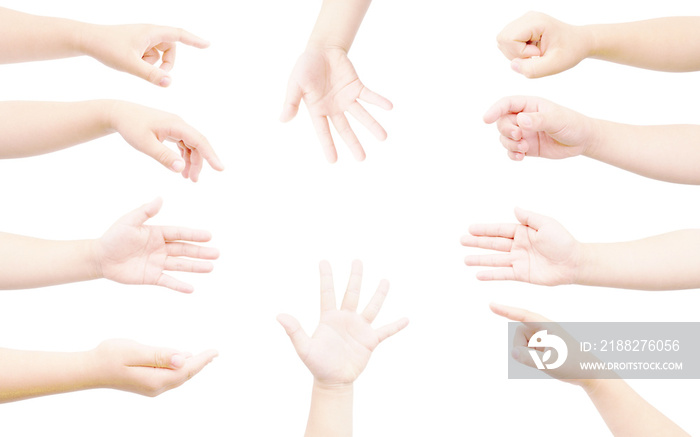 hand of fat girl collection isolated on white background in gestures