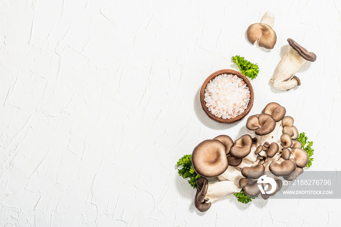 Fresh oyster mushrooms with parsley and sea salt. Healthy ingredient for cooking vegan food