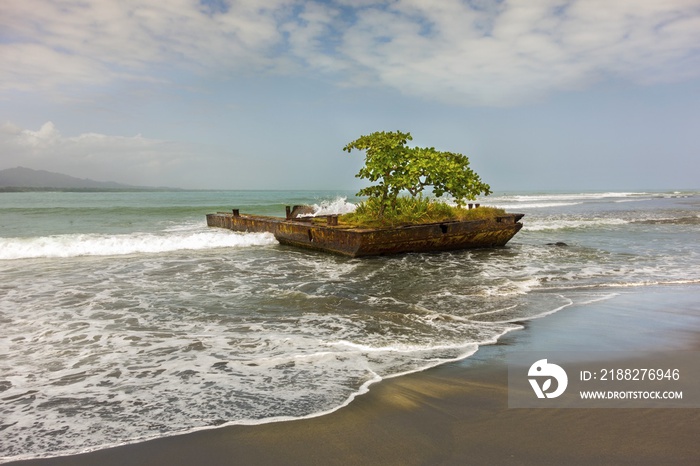 Isolated Tree growing on old rusted boat dock and Caribbean Sea Tropical Beach Detail in Town of Puerto Viejo de Talamanca, Costa Rica Limon Province