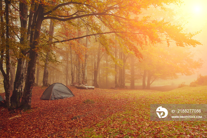 Tourist camp in the autumn forest with red and yellow foliage.