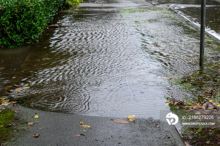 Heavy rain caused flooding over sidewalk, grass strip, and road