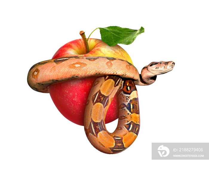 RW Snake entwined apple on a white background