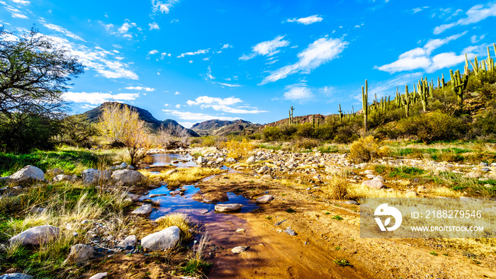 The almost dry Sycamore Creek in the McDowell Mountain Range in Northern Arizona at the Log Coral Wash Exit of Arizona SR87