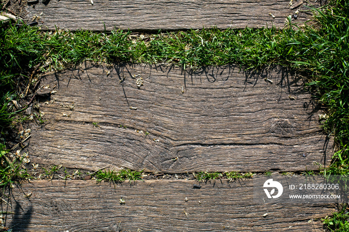 cracked aged planks on backyard terrace floor landscaped from wooden path among green grass lit by sunlight, close-up texture top view.