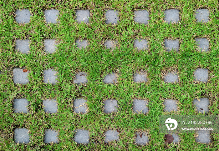 Top view of turf stone pavers covered with vibrant green grass