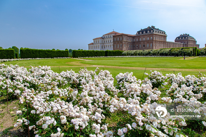 La Reggia di Venaria a Torino