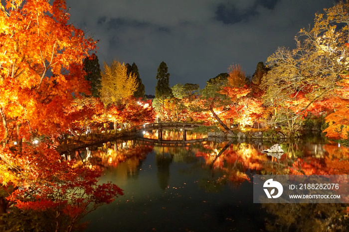 禅林寺・紅葉ライトアップ