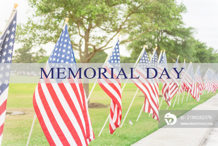 Text Memorial Day on long row of lawn American Flags background. Green grass yard USA flags blow in the wind. Concept of Memorial day or Veteran’s day in America.