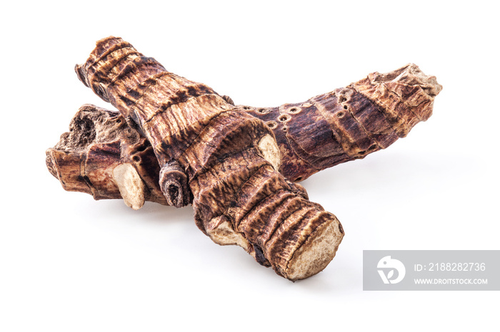 Root of Acorus calamus isolated on white. Herbal Medicine.