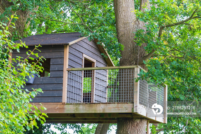 Wooden grey tree house with terrace between old oak trees