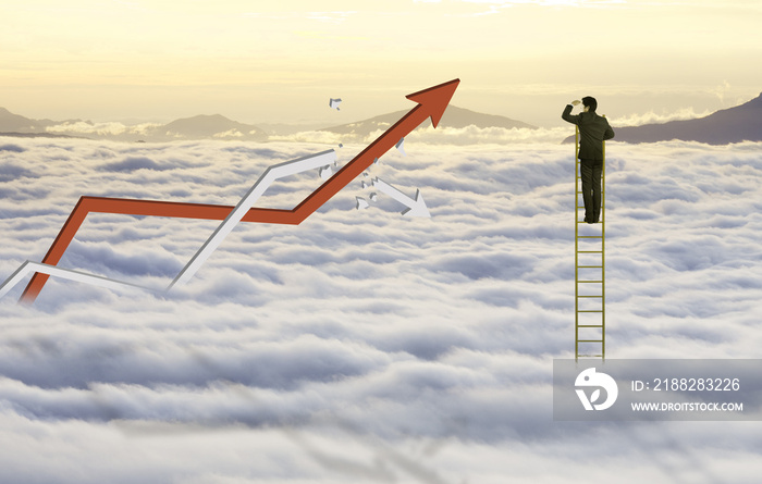 Businessman climb ladder to reach sky and cloud with increasing graph and broken fail graph