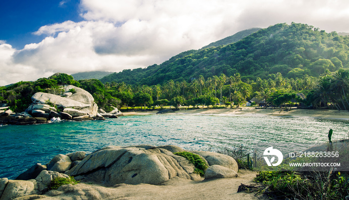 jungle at park national tayrona