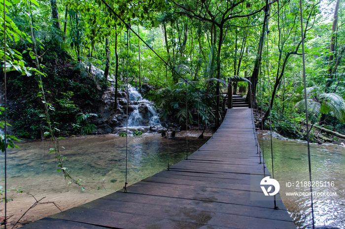 Mayan bridge in the rainforest